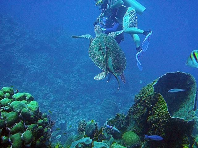 Belize Barrier Reef